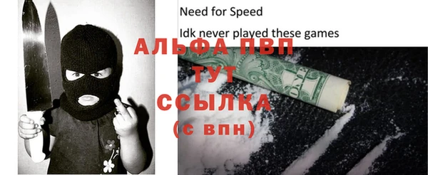 ECSTASY Белокуриха