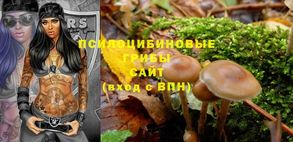 ECSTASY Белокуриха