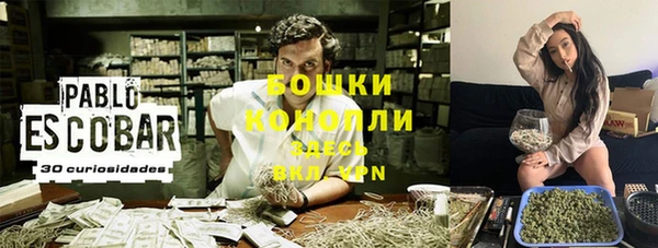 ALPHA PVP Богданович