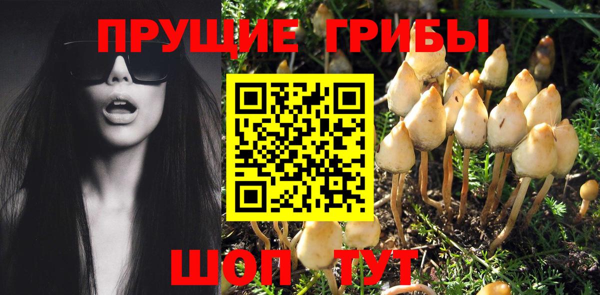Галлюциногенные грибы Magic Shrooms  Вход с VPN  Обь 